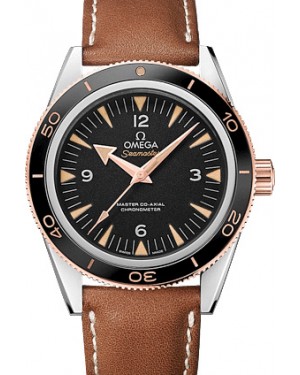 Omega Seamaster 300 Master Co-Axial Chronometer 41mm Steel/Sedna Gold Black Dial Leather Strap 233.22.41.21.01.002 - BRAND NEW